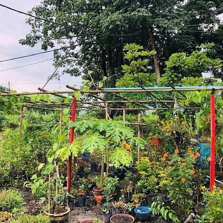 Atocha Homestay - Terong@Taiping Kampong Salak Ngoại thất bức ảnh